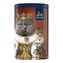 Richard Royal Cats Grey British Shorthair, černý čaj (20 pyramid)