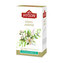 Hyson Green Jasmine, zelený čaj (20 sáčků)
