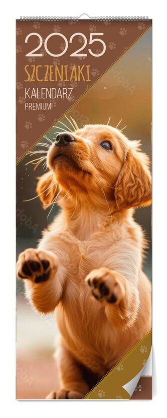 Kalendarz 2025 Szczeniaki premium
