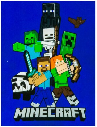 Fleece deka Minecraft: Postavy (110 x 140 cm)