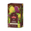 HYSON Mango & Passion Fruit 40g (20 sáčků, černý čaj)