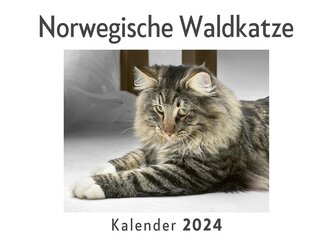 Norwegische Waldkatze (Wandkalender 2024, Kalender DIN A4 quer, Monatskalender im Querformat mit Kalendarium, Das perfekte Gesch