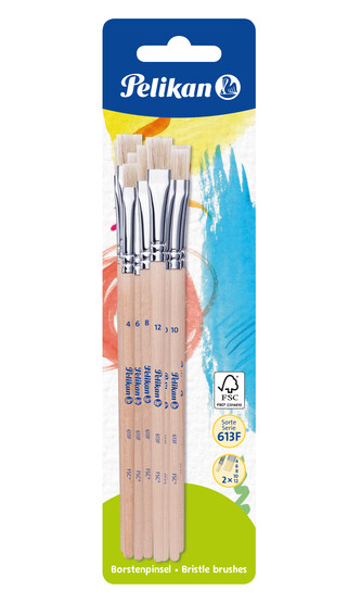 Sada štětců 613F