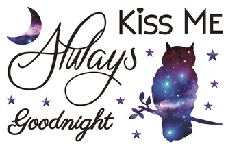 Samolepky na zeď s textem a sovou 60x32 cm