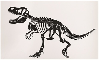 Samolepka na zeď dinosaurus 50 x 32 cm