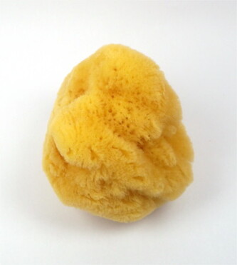 166 MAGNUM Mořská houba z Karibiku na myti obliceje