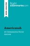 Americanah by Chimamanda Ngozi Adichie (Book Analysis)