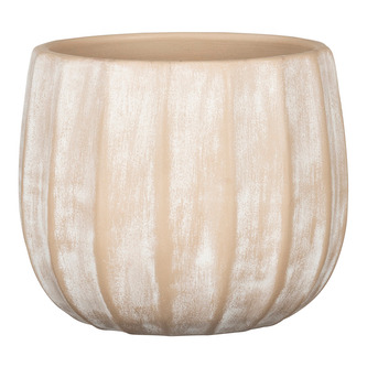 Obal 784 Washed cream 31