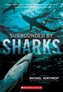 Surrounded by Sharks