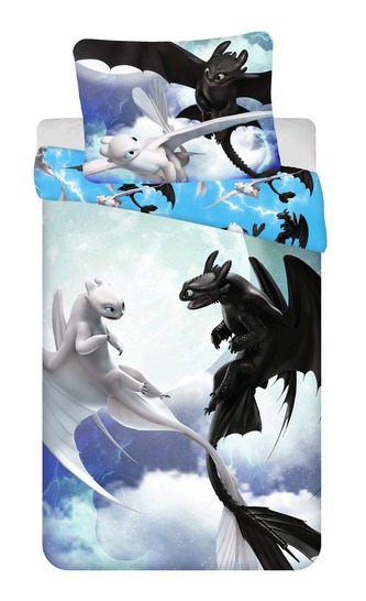 Jerry Fabrics Povlečení Jak vycvičit draka Sky 140x200, 70x90 cm