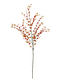 Eukalypt větvička, oranžová, 110 cm