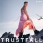 Pink: Trustfall 8pg. Booklet LP