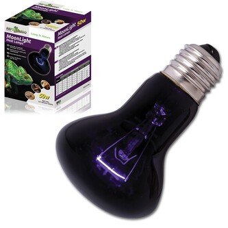 ReptiZoo Moonlight žárovka, 50W