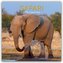 Safari 2025 - 16-Monatskalender