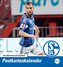 Schalke 04 Postkartenkalender 2025