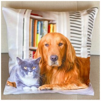 Dekorační polštář s motivem PES A KOČKA II. 40x40 cm Mybesthome