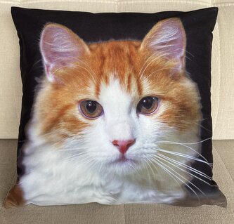 Dekorační polštář s motivem - KOČKA IV. 40x40 cm Mybesthome