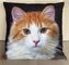 Dekorační polštář s motivem - KOČKA IV. 40x40 cm Mybesthome