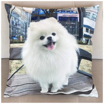 Dekorační polštář s motivem  -  PES I. 40x40 cm Mybesthome