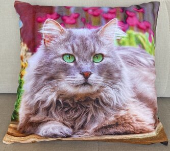 Dekorační polštář s motivem - KOČKA II. 40x40 cm Mybesthome