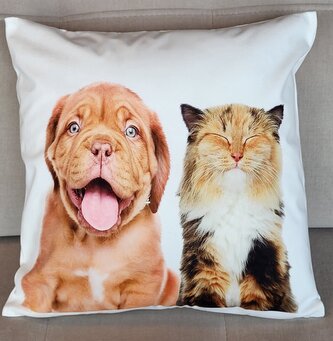 Dekorační polštář s motivem PES A KOČKA III. 40x40 cm Mybesthome