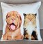 Dekorační polštář s motivem PES A KOČKA III. 40x40 cm Mybesthome