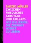 Zwischen friedlicher Sabotage und Kollaps
