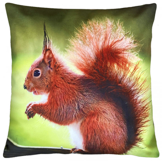 Dekorační polštář s motivem  -  VEVERKA II. 40x40 cm Mybesthome