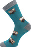 VoXX® ponožky Sovik modro-zelená 35-38 (23-25) 1 pár