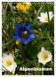 Alpenblumen (Wandkalender 2025 DIN A4 hoch), CALVENDO Monatskalender