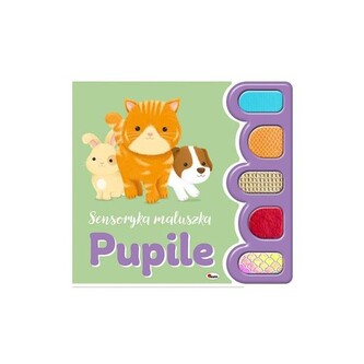 Sensoryka maluszka Pupile