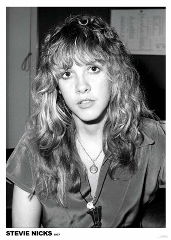 Plakát, Obraz - Steve Nicks