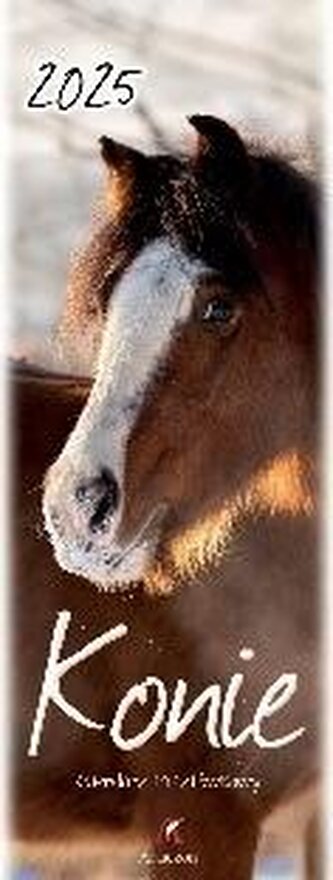 Kalendarz 2025 pocztówkowy Konie Kalendarz 2025 pocztówkowy Konie