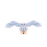Nástěnná plaketa Nástěnná plaketa Harry Potter - Hedwig