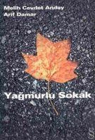 Yagmurlu Sokak