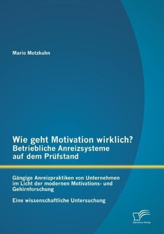 Wie geht Motivation wirklich? ¿ Betriebliche Anreizsysteme auf dem Prüfstand: Gängige Anreizpraktiken von Unternehmen im Licht d