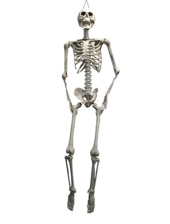 Halloween závěsná kostra, 175 cm