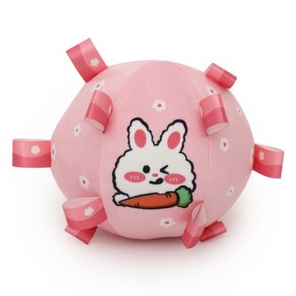 Reedog kousací míček pro štěňátka-růžová