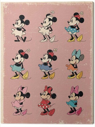 Obraz na plátně Minnie - Evolution, 2 cm - 30×40 cm