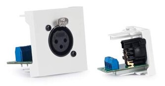 WP39X Fonestar XLR konektor