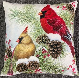 Vánoční polštář CARDINALE I. 40x40 cm Mybesthome