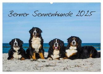 Berner Sennenhund 2025 (Wandkalender 2025 DIN A2 quer), CALVENDO Monatskalender