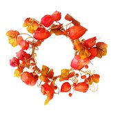 Podzimní věnec physalis, d. 25 cm  HBG0923672