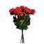 Růže červená, 12 ks  AF001/červ.