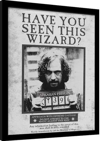 Obraz na zeď - Harry Potter - Sirius Wanted, 30 × 40 cm
