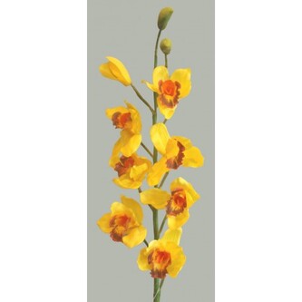 Orchidej  93554/žlutá