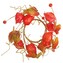 Podzimní věnec physalis, d. 16 cm  HBG0923673