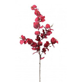 Podzimní větev eukalyptus burgundy  650-0027