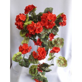 Muškát převis/ červená  J169/červ.