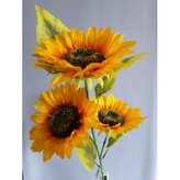 Slunečnice, 3 květy  G018